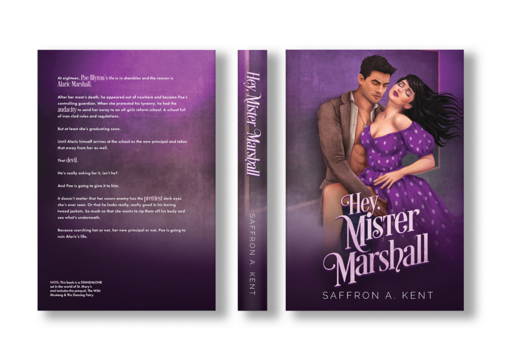 Hey, Mister Marshall (St. Mary’s Rebels 4) VINTAGE Illustrated Cover